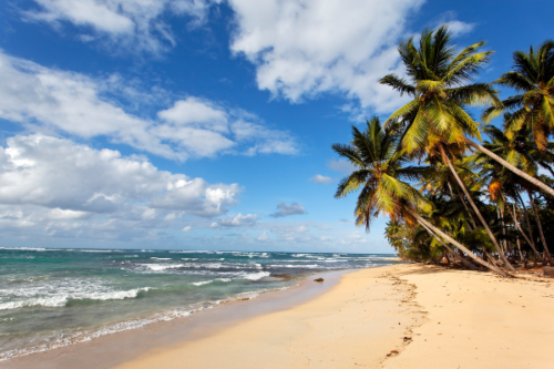 Top 5 Nearshore Software Hubs in The Dominican Republic